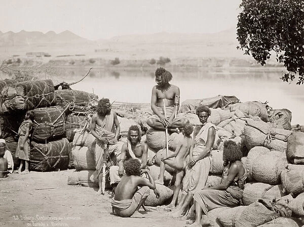 19th century vintage photograph: Bichari, Bishari desert guides - used to guide camel