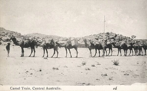 Camel Train in Australia