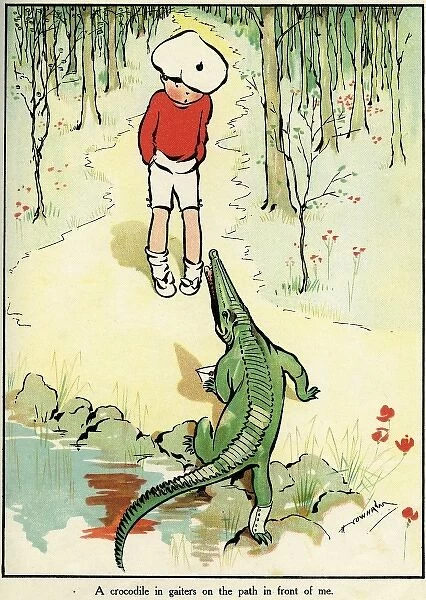 Confronting a crocodile