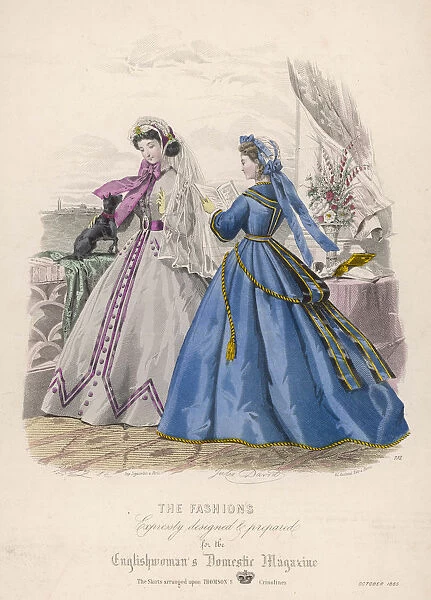 Fashion - Dog 1865