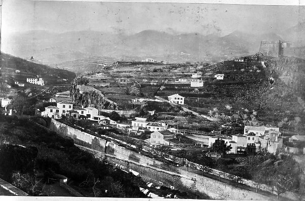 Landscape in Madeira 1873