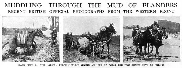 Muddling through the mud of Flanders, 1917