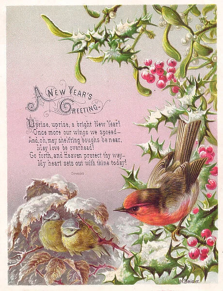 Robin and two great tits on a New Year card