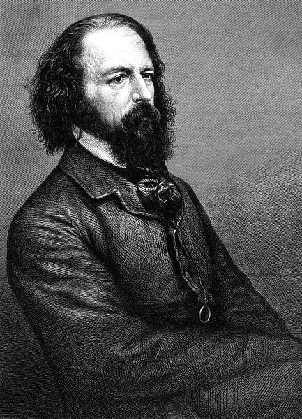 Tennyson Molocle