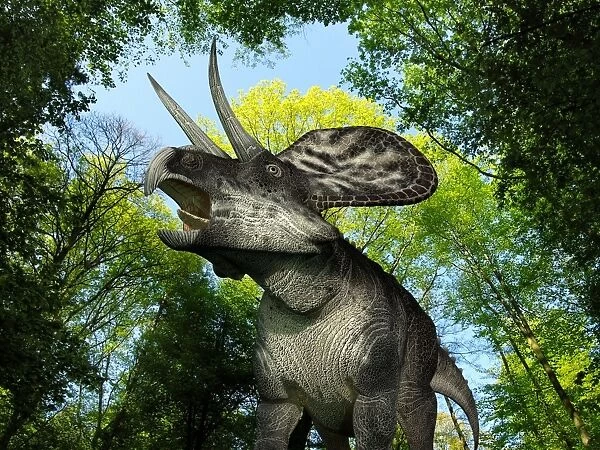 Zuniceratops dinosaur, artwork