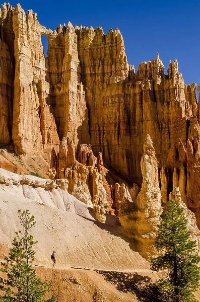 Hiking in Bryce Canyon National Park Utah, United States of America, North America