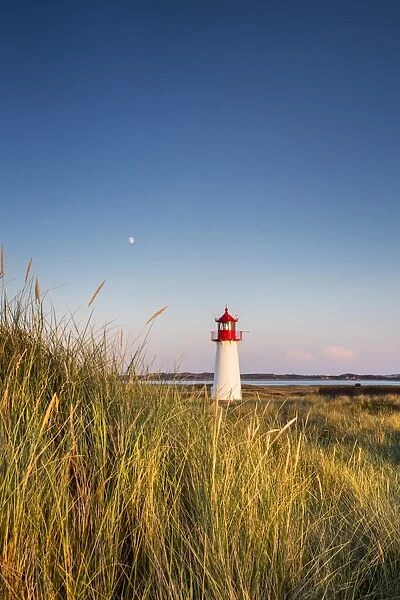 Lighthouse List West, Sylt Island, Northern Frisia, Schleswig-Holstein, Germany