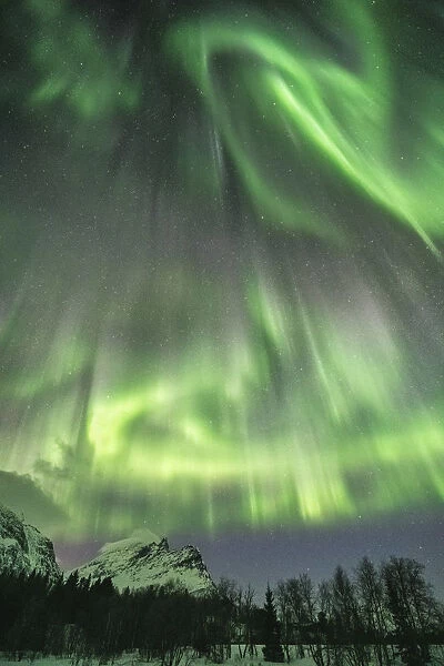 Northern lights in the sky above mountain peaks and trees