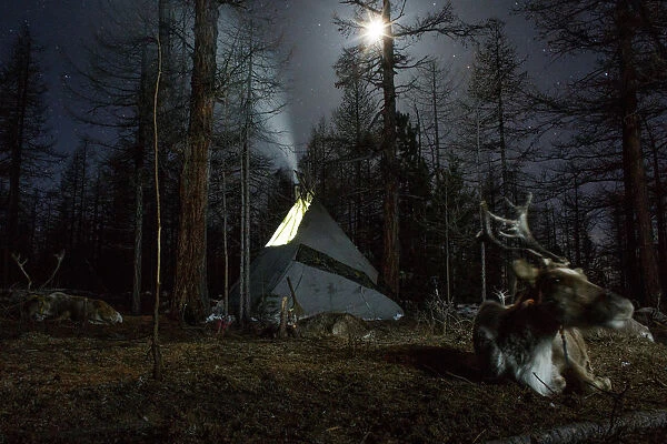 The Wider Image: Mongolias reindeer herders fear lost identity