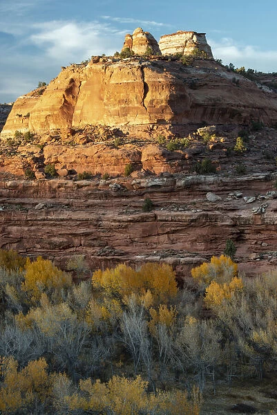 USA, Utah. Last light on sandstone monolith with autumn cottonwoods
