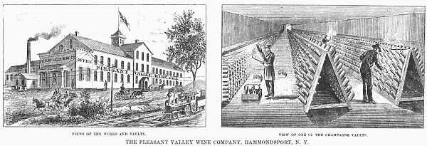 NEW YORK: WINERY, 1878. Views of the Pleasant Valley Wine Company of Hammondsport, New York. Men at work in the champagne vaults are depicted in the right panel. Wood engraving from an American newspaper of 1878