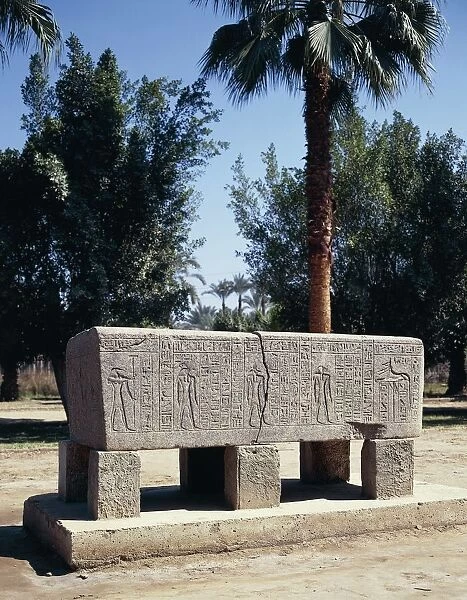 Egypt, Cairo, Ancient Memphis, Engraved sarcophagus