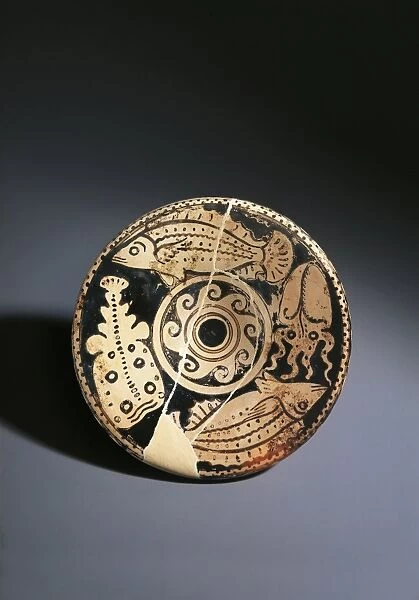 Red-figure pottery dish with fish decoration, from Cerveteri
