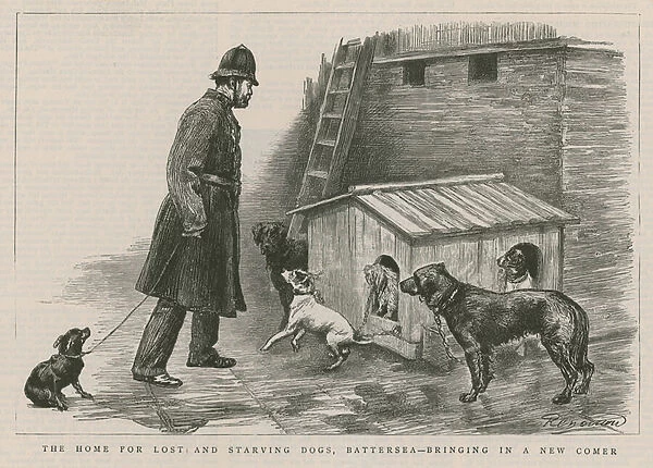 The home for lost and starving dogs (engraving)