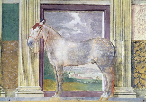 Sala dei Cavalli, detail showing a portrait of Dario