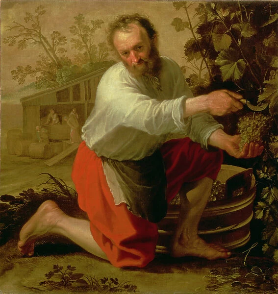 Vine Grower, 1628 (oil on canvas)