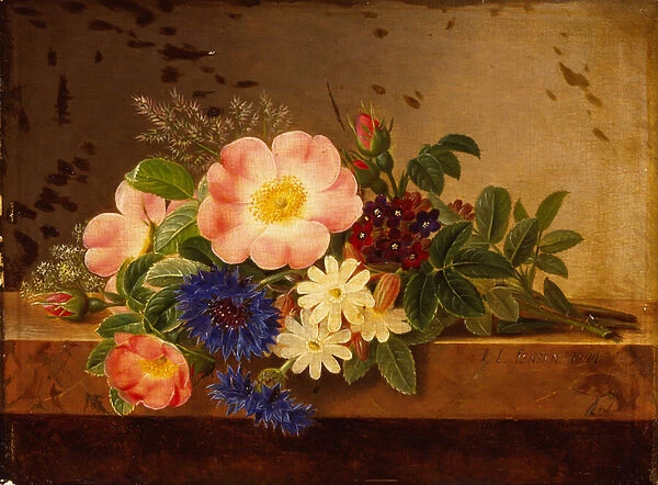 Wild Flowers, Cornflowers and other Flowers on a Ledge (oil on canvas)