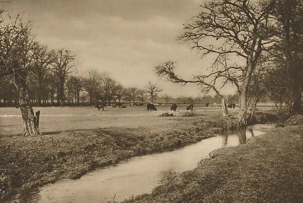 Where Beverley Brook Winds Through The Royal Hunting Park of Richmond, c1935. Creator: Joel