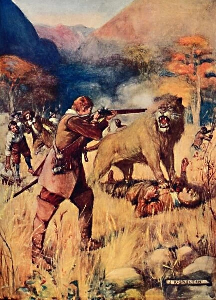 A Large Lion sprung upon one of the Men, 1909. Artist: Joseph Ratcliffe Skelton