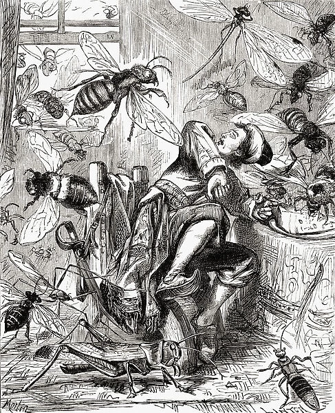 Some Of Them Seized My Cake And Carried It Piecemeal Away. Gulliver Attacked By Giant Insects During His Voyage To Brobdingnag. From Gullivers Travels Published C. 1875