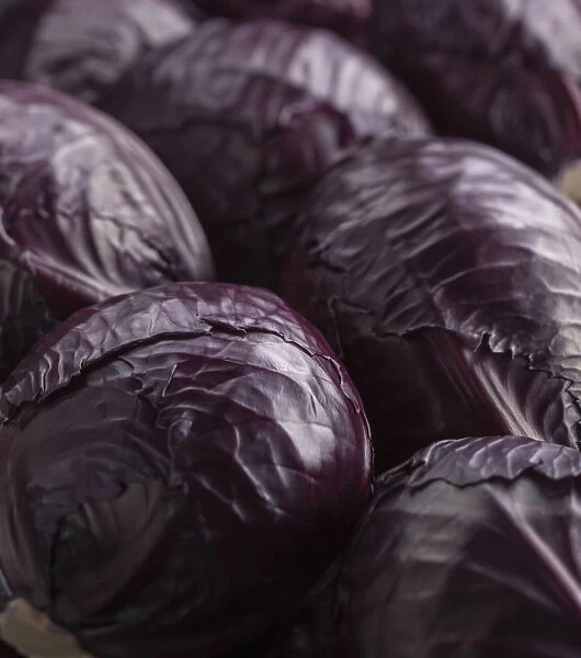 Cabbage, Brassica oleracea capitata, Several shiny maroon heads of Red cabbage