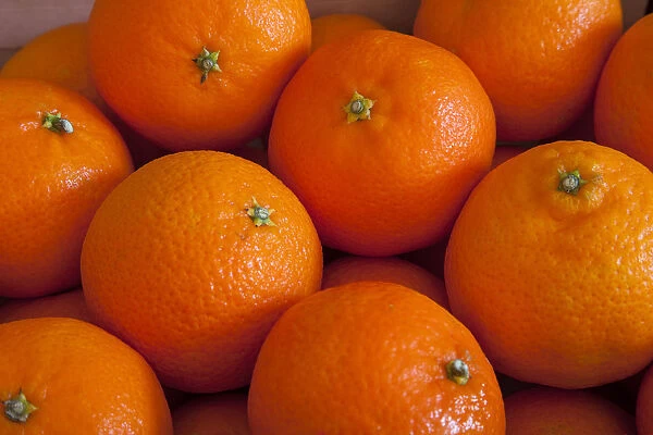 clementine, citrus reticulata clementine