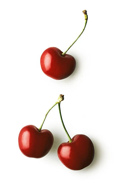 CS_3067. Cherry - Prunus cultivar. Red subject. White b / g