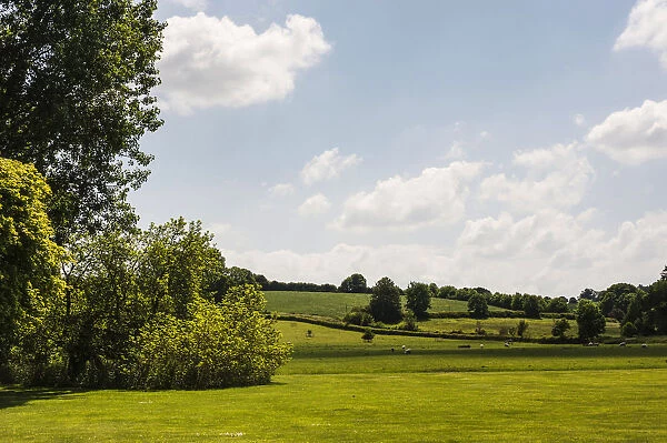 Meadow, view across typical English country landscape
