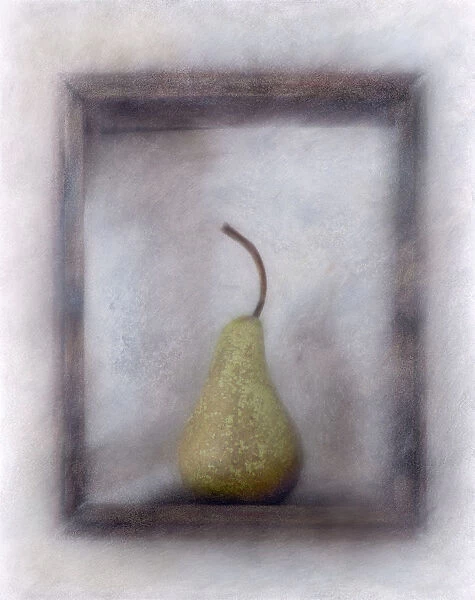 Pear, Pyrus communis
