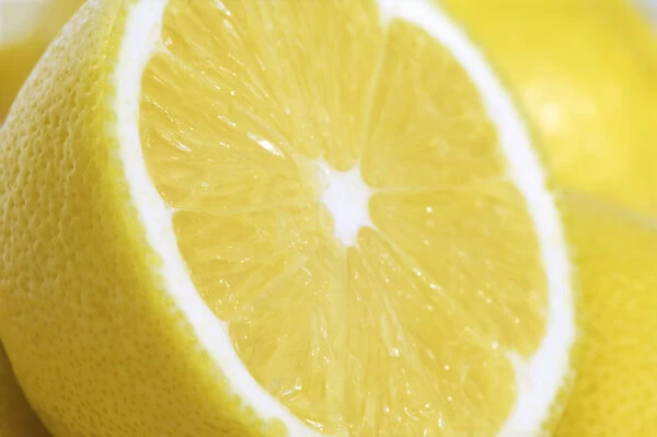 SUB_0169. Citrus limon. Lemon. Yellow subject. Yellow b / g