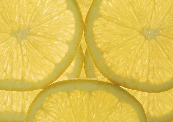 SUB_0170. Citrus limon. Lemon. Yellow subject. Yellow b / g