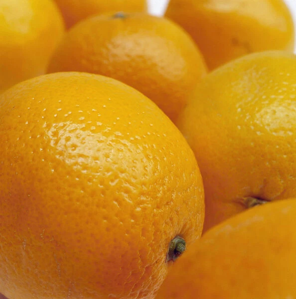 VG_FV06. Citrus sinensis. Orange. Orange subject