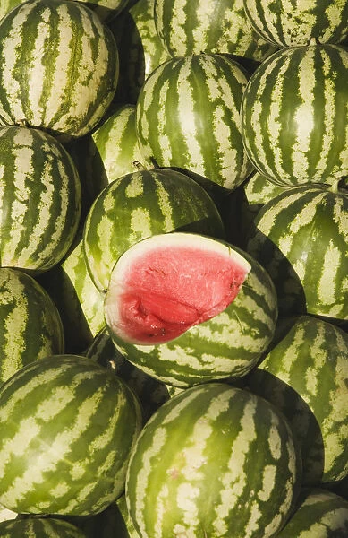 watermelon, citrulus lanatus