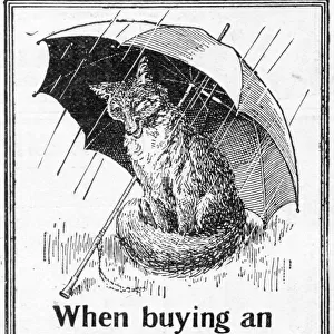 Advert for Foxs umbrellas