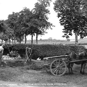 Carting Manure the Primitive Iron Grape in Use, Co. Antrim