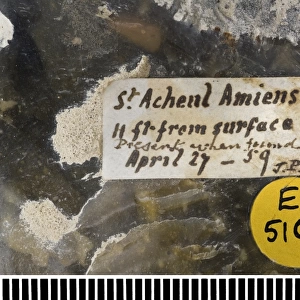 Flint hand axe (label)