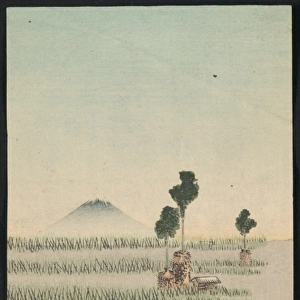 Genre scene in a rice paddy