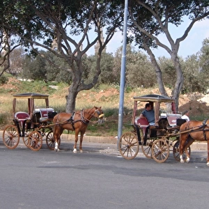 Karrozin Carriages / Malta