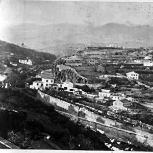 Landscape in Madeira 1873