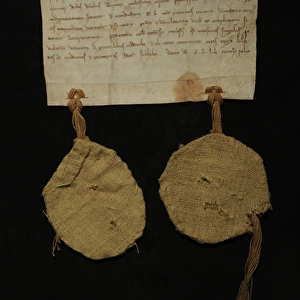 Letter of patronage for Fogdo Abbey, july 1252, where