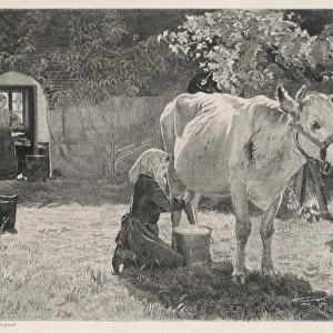 Milking Cow, France