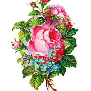 Pink roses and blue forgetmenots on a Victorian scrap