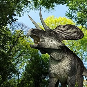 Zuniceratops dinosaur, artwork