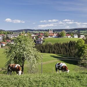 St. Maergen, spring, Glottertal Valley, Black Forest, Baden Wurttemberg, Germany, Europe
