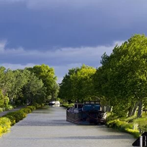 Barges on section of canal lined with Plane (Platanus sp. ) trees, between Narbonne and Gruissan, Canal du Midi, Aude