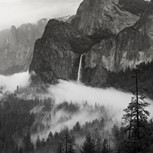 North America, USA, California, Yosemite National Park