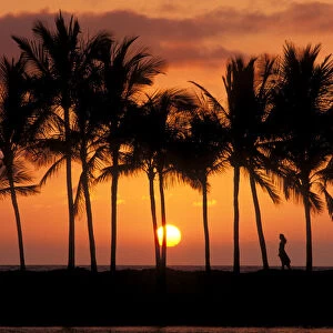 Silhouetted palm trees and woman at sunset, Kohala Coast, The Big Island, Hawaii (MR)
