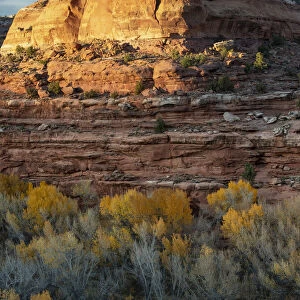 USA, Utah. Last light on sandstone monolith with autumn cottonwoods