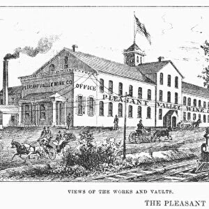 NEW YORK: WINERY, 1878. Views of the Pleasant Valley Wine Company of Hammondsport, New York. Men at work in the champagne vaults are depicted in the right panel. Wood engraving from an American newspaper of 1878