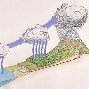 Diagram showing water cycle of rain and snow; evaporating sea water forming cloud, trees releasing vapour into clou, water droplets fall from cloud over cooler high ground, rainwater joins rivers and streams and flows back down to sea